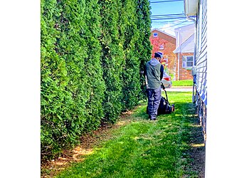 Philadelphia Lawn Care Services Please Plant Me Lawn Mowing Service