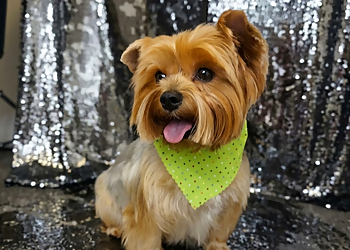 Plush Pups pet boutique and spa - Riverside, CA Pet Grooming - Project Image