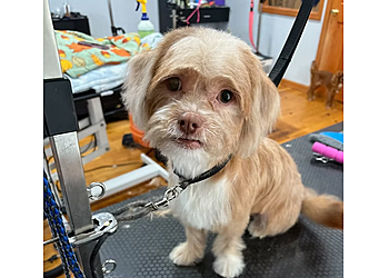 Syracuse Pet Grooming Plush Spa