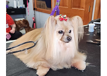 Syracuse Pet Grooming Plush Spa