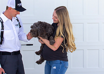 Eugene Pest Control Companies Pointe Pest Control Eugene