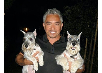 3 Best Pet Grooming in Santa Clarita, CA - Expert Recommendations 3 Best Pet Grooming in Santa Clarita, CA - Expert Recommendations