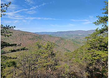 Roanoke Hiking Trails Poor Mountain Natural Area Preserve