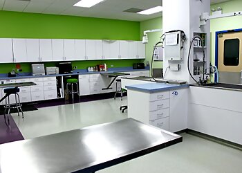 Chicago Veterinary Clinics Portage Park Animal Hospital