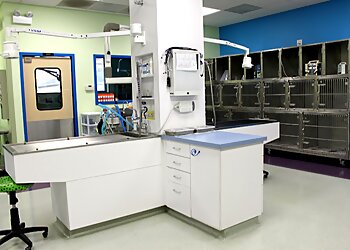 Chicago Veterinary Clinics Portage Park Animal Hospital