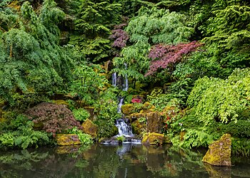 Portland Places To See Portland Japanese Garden