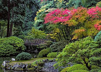 Portland Places To See Portland Japanese Garden