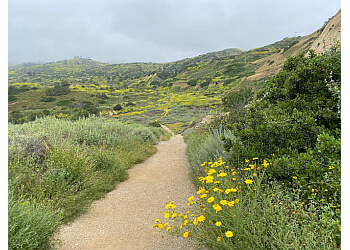 3 Best Hiking Trails in Torrance, CA - Expert Recommendations