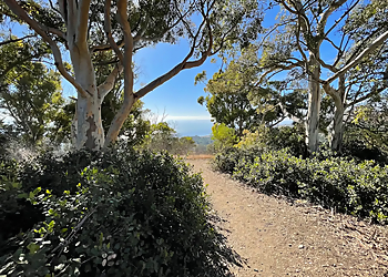 Portuguese Bend Reserve - Torrance, CA Hiking Trails - Trail Image