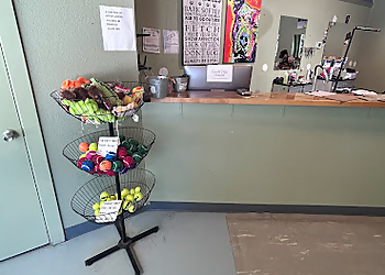 Seattle Pet Grooming Posh Paws Grooming Salon