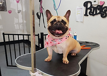 Modesto Pet Grooming Posh Paws Pet Salon