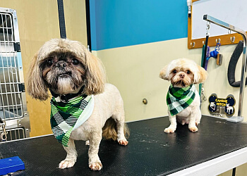 Posh Wash Dog Wash & Mobile Grooming - Glendale, AZ Pet Grooming - Relaxation Moments
