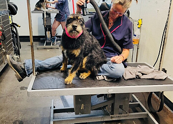 Posh Wash Dog Wash & Mobile Grooming - Glendale, AZ Pet Grooming - Service Highlights