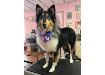 Anchorage Pet Grooming Poshy Paws