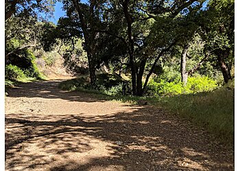 Ontario Hiking Trails Potato Mountain