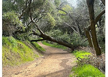Powder Canyon Compton Hiking Trails image 1