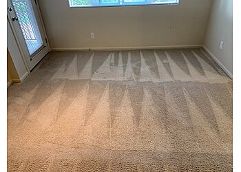 Seattle Carpet Cleaners Power Pup Clean