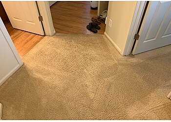 Seattle Carpet Cleaners Power Pup Clean