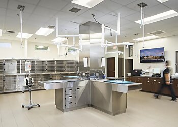 Mesa Veterinary Clinics Power Road Animal Hospital