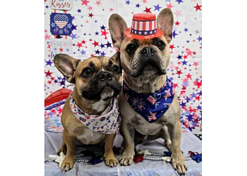 Sioux Falls Pet Grooming Precious Pet