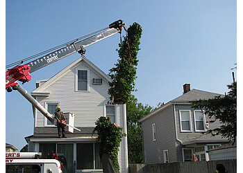 Precision Cutting Services New Haven Tree Services
