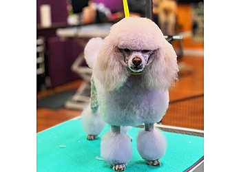 Montgomery Pet Grooming Precision Grooming Spa SUPERSTORE