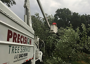 Cleveland Landscaping Companies Precision Landscaping Corporation