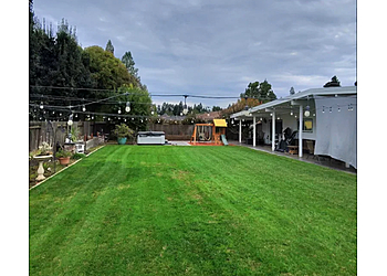 Precision Lawn Care - Elk Grove, CA Lawn Care Services - Project Image