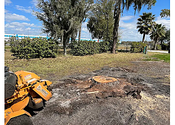 Lakeland Tree Services Precision Tree & Outdoor Services