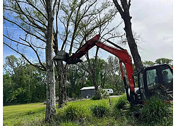 Lakeland Tree Services Precision Tree & Outdoor Services