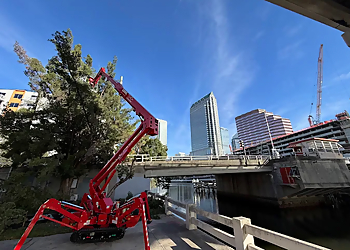 Lakeland Tree Services Precision Tree & Outdoor Services