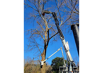 3 Best Tree Services in Birmingham, AL - Expert ...