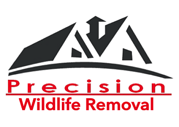 Precision Wildlife Removal Evansville Animal Removal