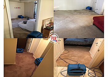 Alexandria Carpet Cleaners Premier Crisis Response