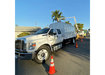 Premier Tree Experts  Orange Tree Services