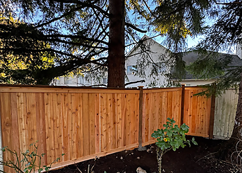 Bellevue Lawn Care Services Premium Lawns