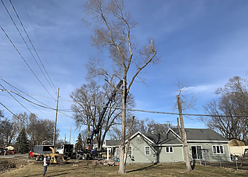 Des Moines Tree Services Premium Tree Service