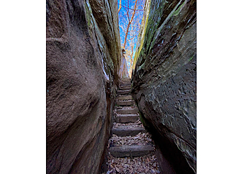 Prentice Cooper State Forest - Chattanooga, TN Hiking Trails - Visitor Experience Image