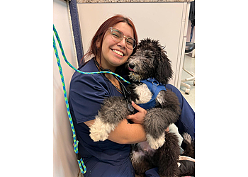 Gilbert Veterinary Clinics Prestige Animal Clinic