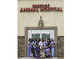 Fontana Veterinary Clinics Prestige Animal Hospital