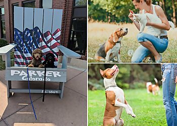 Sacramento Dog Training Prestige K9