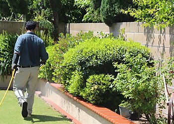 Corona Pest Control Companies Preventive Pest Control