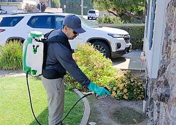 Corona Pest Control Companies Preventive Pest Control