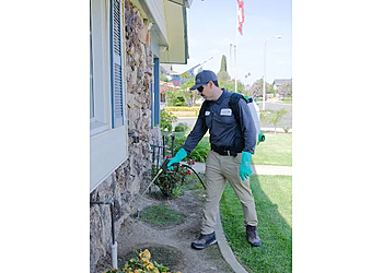Preventive Pest Control - Rancho Cucamonga, CA Pest Control Companies
