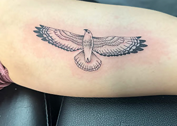 Nashville Tattoo Shops Pride & Glory Tattoo Parlor