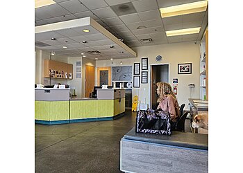 Long Beach Veterinary Clinics Primary Care Animal Hospital