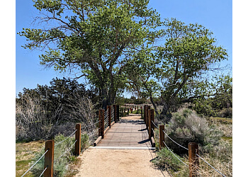 3 Best Hiking Trails in Lancaster, CA - Expert Recommendations