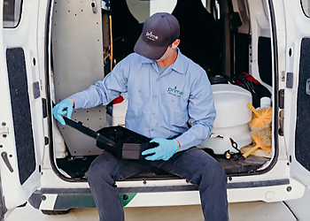 El Paso Pest Control Companies Prime Pest & Lawn