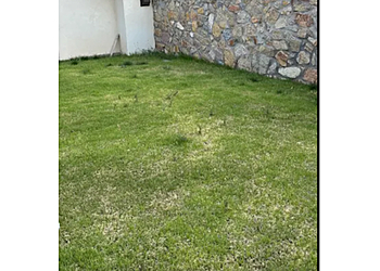 Prime Pest and Lawn - El Paso, TX Lawn Care Services - Job Site Image