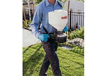 Prime Pest and Lawn Prime Pest and Lawn - El Paso, TX Lawn Care Services - Field Work Image